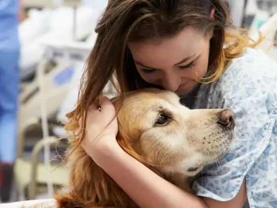 Dogoterapia - na czym polega, komu pomaga i ile kosztuje?