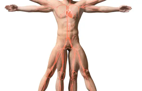 Anatomia klatki piersiowej - Klucz do skutecznej operacji?