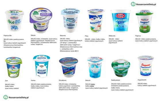 Jogurt naturalny dla kota - Czy to dobry pomysł? Sprawdź!