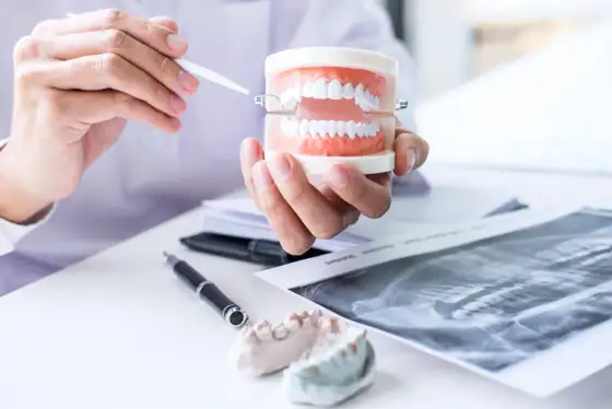 Periodontolog - kiedy iść? Leczenie, koszty i zdrowe dziąsła