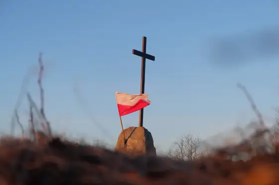 Flaga zielono-biało-czerwona - Jak ją rozpoznać bez pomyłki?