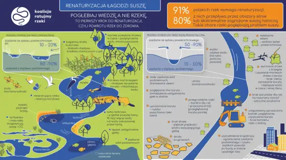 Rzeka Orinoko - Przewodnik po krajobrazach i znaczeniu