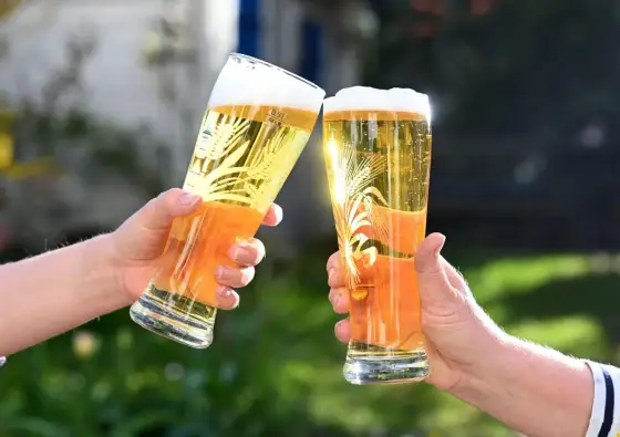 Bier vs. Pils - Der wahre Unterschied & dein perfekter Bier-Guide