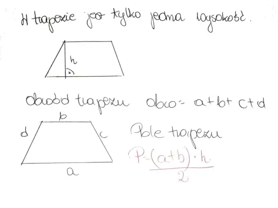 Czworokąty - definicje, typy i triki. Policz pole bezbłędnie!