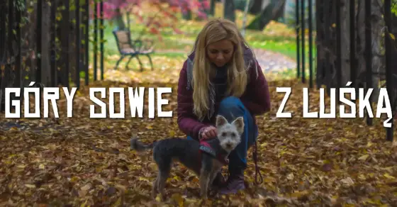 Góry Sowie z psem - Idealna wycieczka? Sprawdź!
