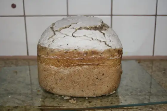 Instrukcja Moulinex Home Bread: piecz idealnie - porady i przepisy