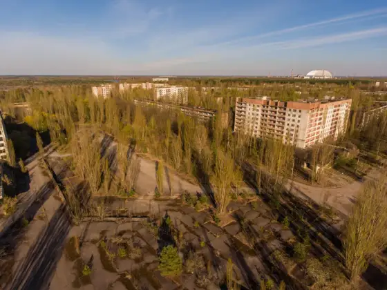 Czy Czarnobyl jest zamieszkany? Prawda o życiu w Strefie Wykluczenia