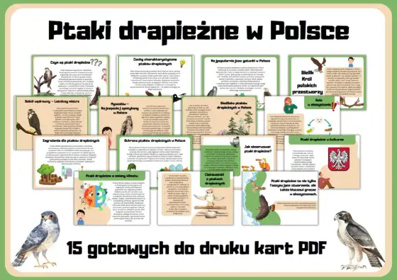 Duże ptaki drapieżne w Polsce - Jak rozpoznać i obserwować?