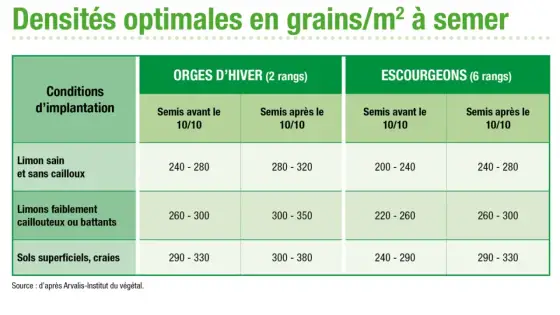 Densité de semis orge d'hiver - Visez la dose juste
