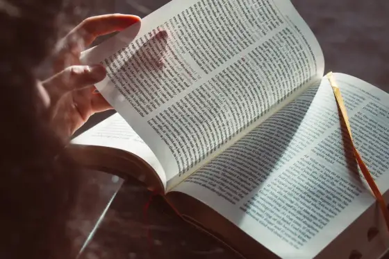 Dogmaty wiary katolickiej: Co musisz wiedzieć?