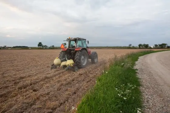 Głęboszowanie - Kiedy naprawdę pomaga? Uniknij błędów!