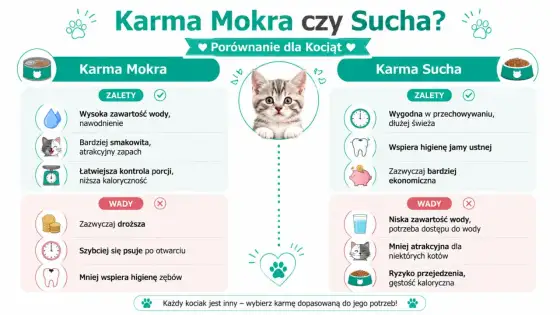 Jak wybrać karmę dla kota? Poradnik bez zgadywania