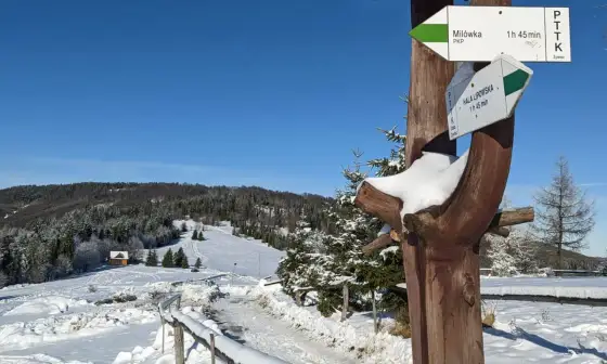 Szlaki z Milówki na Boraczą, Baranią Górę i Rysiankę