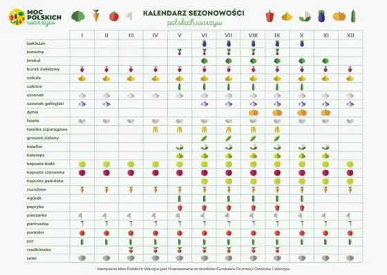 Kiedy siać warzywa? Kalendarz siewu i kluczowe zasady