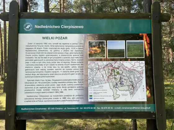 Toruń rowerem - Gdzie jechać? Najlepsze trasy i porady!