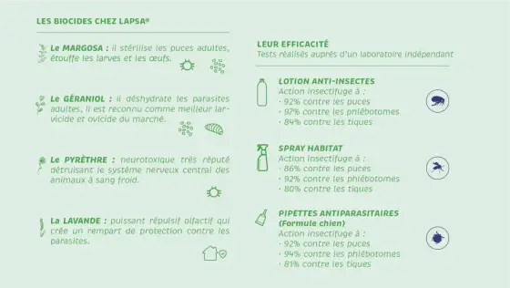 Lavage anti-puces - Ça marche vraiment ? La méthode complète
