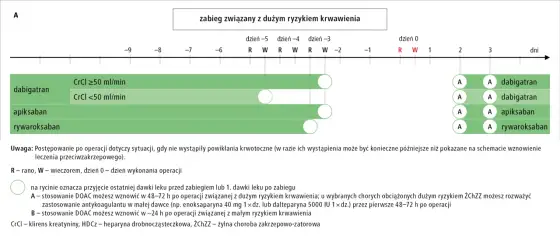 Xarelto - dawkowanie, ryzyko i interakcje w praktyce