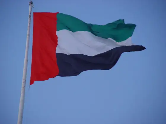 Flaga Dubaju - Jak ją rozpoznać i nie mylić z flagą ZEA?
