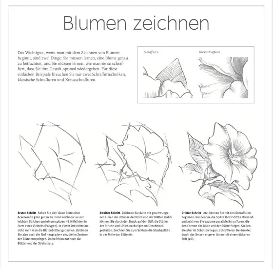 Einfache Zeichenideen: So gelingen erste Kunstwerke mühelos