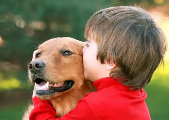 Dogoterapia dla dzieci - Kiedy pomaga i jak wybrać dobre zajęcia?