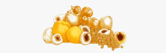 Quels fruits riches en fer choisir et avec quoi les associer ?