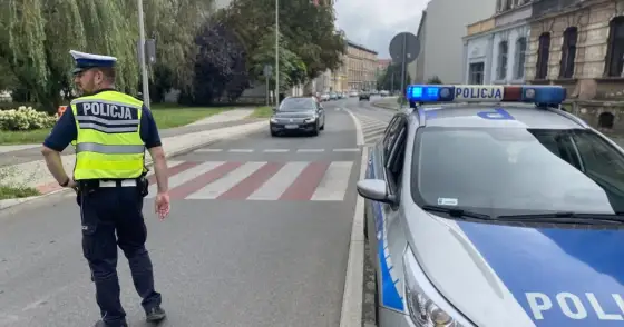 Znak D-6 - Co oznacza i jak zachować się na pasach?
