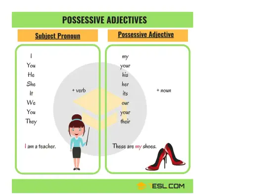 Adjetivos Posesivos en Inglés - Guía Completa y Errores