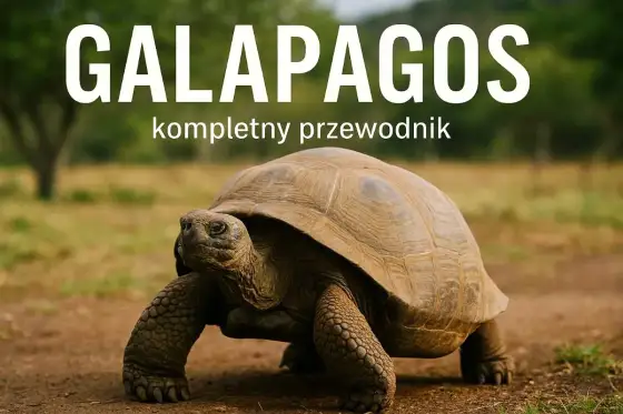 Galapagos - Jak zaplanować podróż marzeń? Poradnik