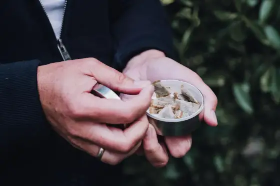 Snus i woreczki nikotynowe - jak niszczą zęby i dziąsła?