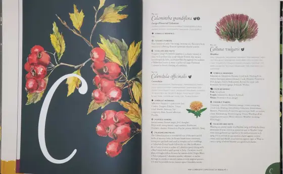 Herb Kuby - Odkryj, co naprawdę oznaczają symbole