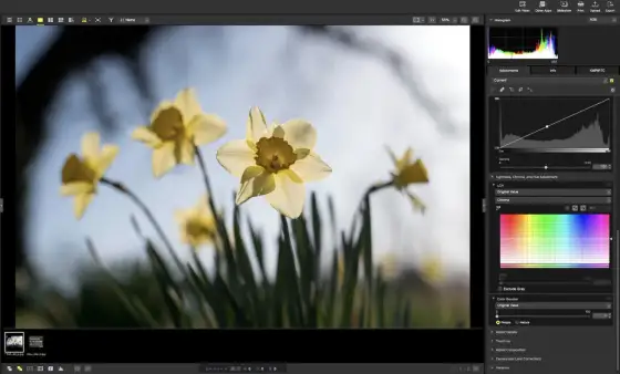 Nikon NX Studio po polsku - Czy warto go używać w 2026 roku?
