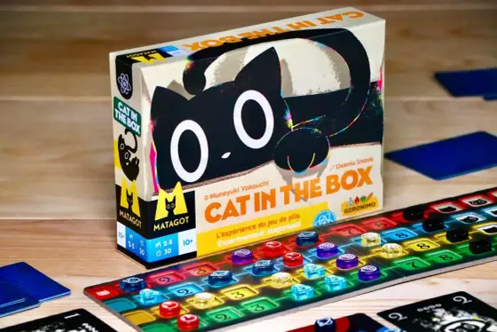 Cat in the Box - jak działa gra z paradoksem?