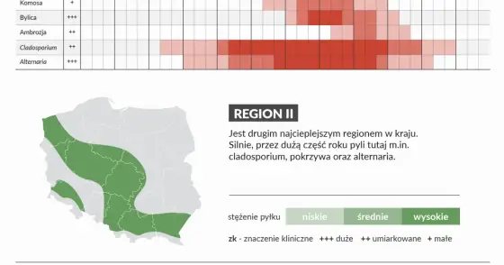 Kalendarz pylenia w Polsce - co pyli i kiedy?