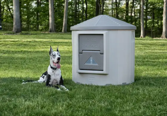 Igloo pour chien - bien choisir le bon modèle