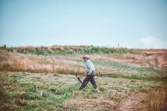 Mżawka w rolnictwie - Jak planować prace i unikać strat?