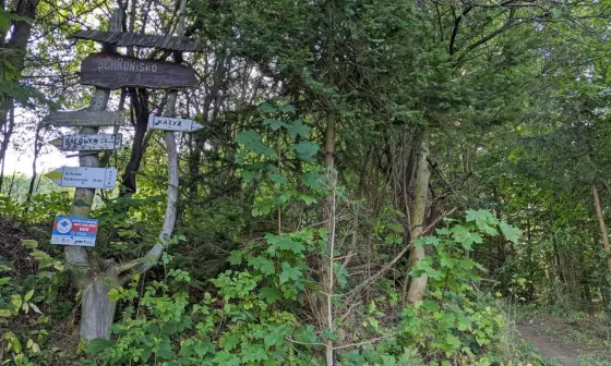 Bryjarka - Szczawnica w 20 minut: Widoki i łatwy szlak