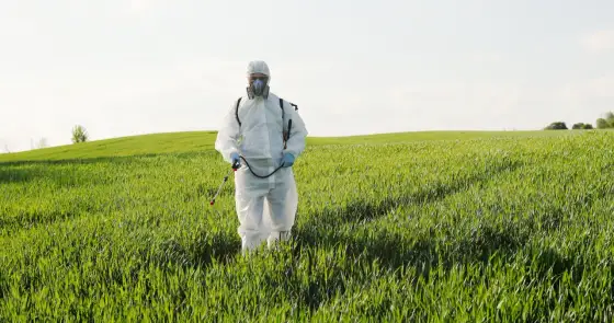 Fumigacja i gazowanie zboża - Dlaczego działa lepiej niż oprysk?
