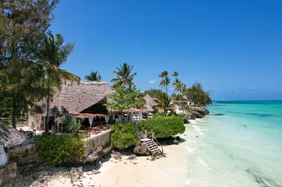 Zanzibar - Szczepienia, malaria i zasady wjazdu. Czy jesteś gotów?