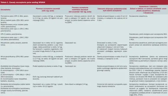 Versican Plus dla psa - Jak dobrać wariant i schemat szczepień?