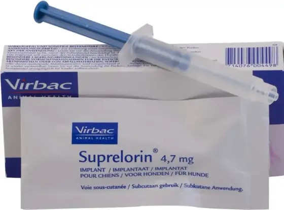 Chemiczna kastracja psa - kiedy warto wybrać implant z deslorelina?
