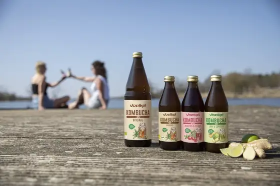 Ile alkoholu ma kombucha? Poznaj fakty i uniknij niespodzianek!