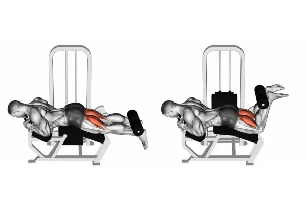 Esercizio per il bicipite femorale: un uomo esegue un curl per le gambe sdraiato su una macchina, piegando le ginocchia per contrarre i muscoli posteriori della coscia.