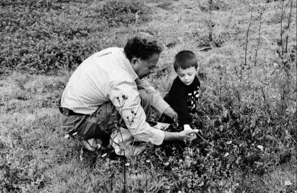 Uomo e bambino in ginocchio tra l'erba, intenti a raccogliere qualcosa. Un momento di condivisione nella natura.