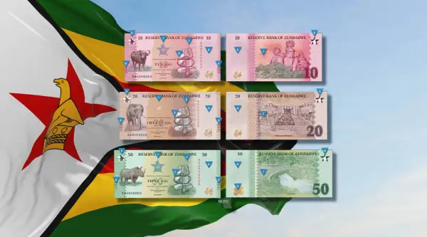 Zimbabwe waluta: banknoty 10, 20 i 50 ZIG z wizerunkami zwierząt i budynków. Flaga Zimbabwe w tle.