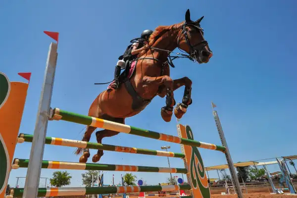 Jeździectwo sportowe lub rekreacyjne: co wybrać dla siebie?