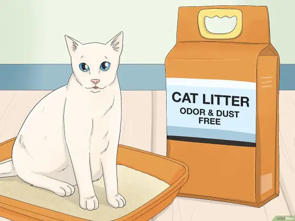 A white cat sits in a litter box next to a bag of cat litter, illustrating how to train a cat to use a litter box.