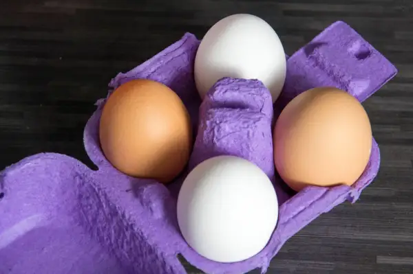 Vier Eier in einer lila Eierpappe. Zwei braune und zwei weiße Eier. Welches Huhn legt lila Eier?