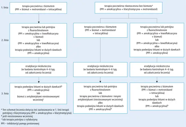Schemat leczenia Helicobacter pylori: różne linie terapii, w tym poczwórna z bizmutem i antybiotykami.
