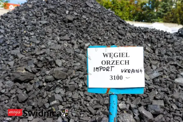 Wielka hałda węgla orzech z importu z Ukrainy. Cena za tonę to 3100.