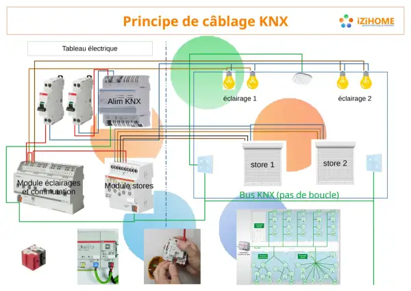 Schéma de câblage KNX montrant un tableau électrique, des modules pour éclairages et stores, et le bus KNX. Chaque fil est essentiel.